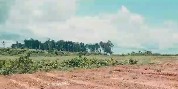 PARCELLE DE 10 HECTARES SUR L'AUTOROUTE